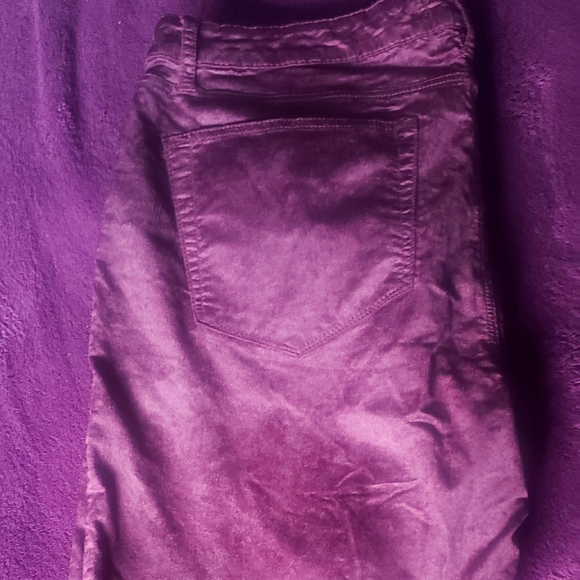 velvet purple pants